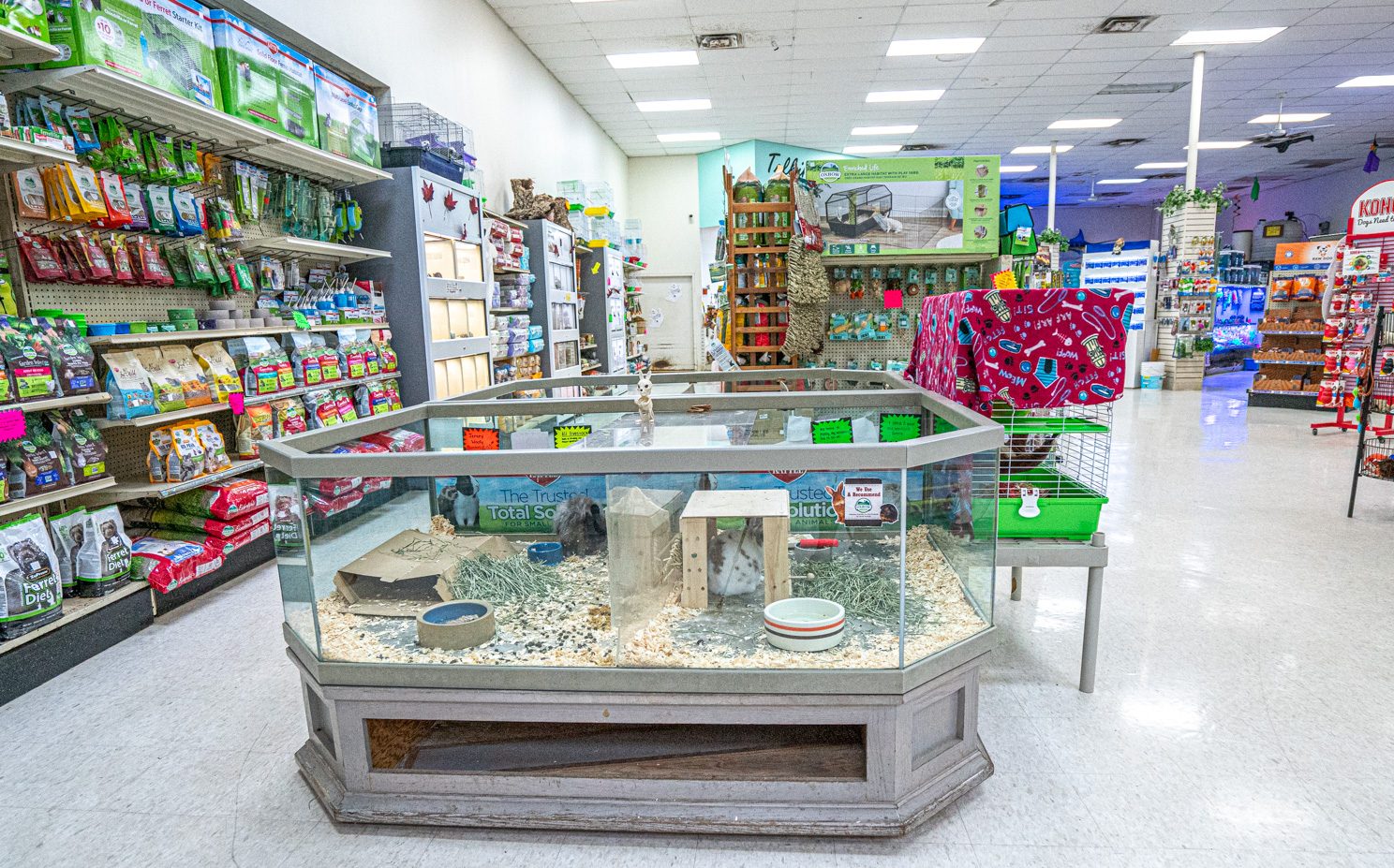 Sandy's Pet Shop – Family Owned & Operated
